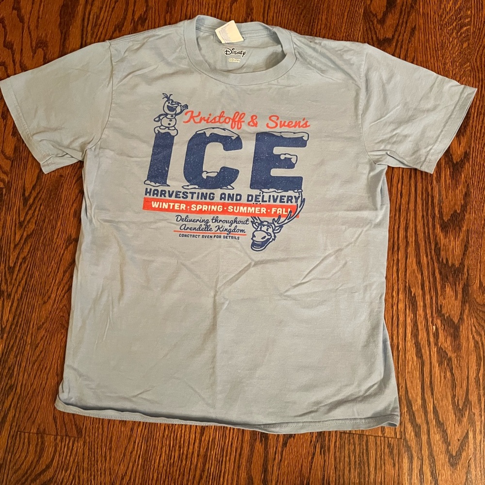 Disney Gray T-Shirt with Red and Blue Frozen Print